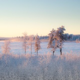 Jeris week 45 12-4719